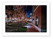 Holiday Exterior Decoration, Downtown Decoration, Tree Lighting