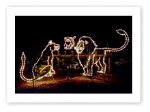 Lighted Park & Event Display, Lighted Animal Display