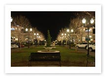 Tree Lighting In Parks and Greenways