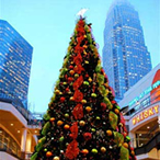 Giant indoor and outdoor commercial grade Christmas trees